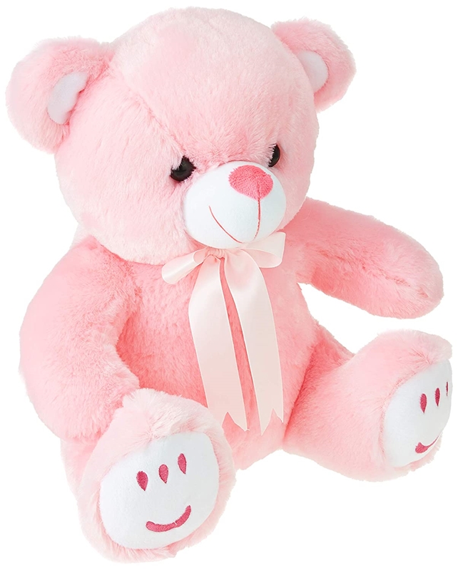 Picture of Pink Teddy